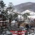 Wintery Korea- Day 4 The night before, we had booked into a ski resort- Konjinam Resort Opened in 2008, it is owned by one of the most well-known Korean company- LG. It is only...