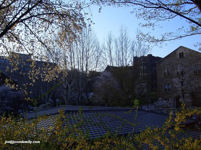 yonsei9