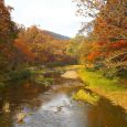 Ahhh… Autumn… The crisp cool air…the beautiful golden foliage….taking a walk among the great nature….all wrapped up in a big warm jacket and cool-looking boots…. Isn’t it a wonderful dream…. […]