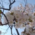 Day 5 (24th Apr, Sun) – Part 1 We were so disappointed with our ‘Cherry Blossoms’ experience that we felt we have to do it again. Jo had been to […]